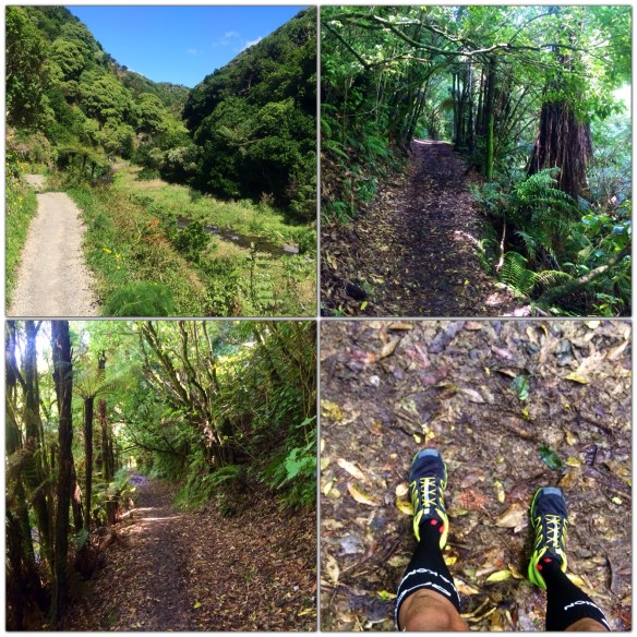 Korokoro Stream Trail