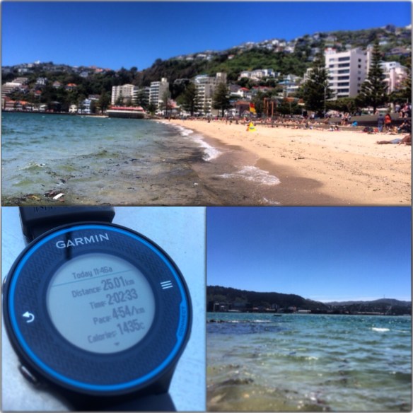Monday Run Along the Bays