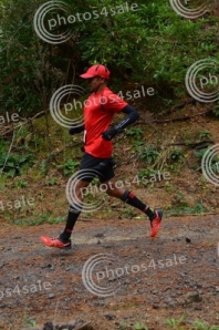 Tauhara Trail Half Marathon